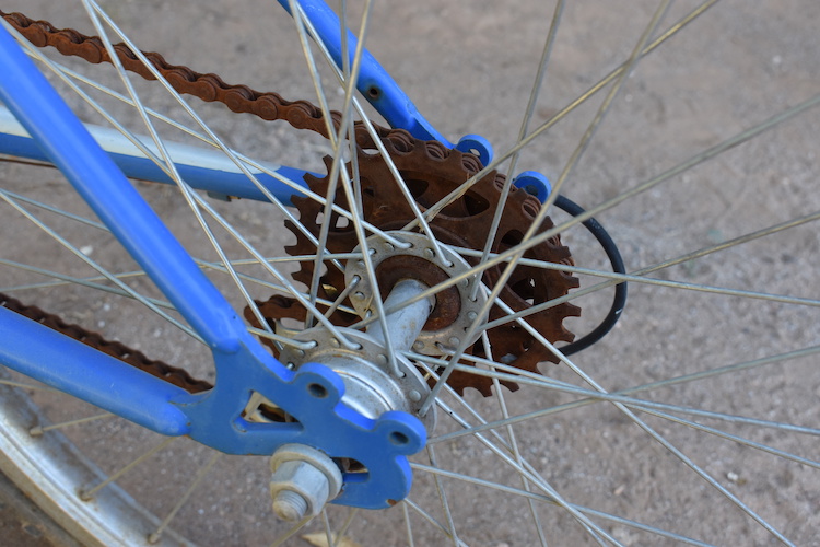 Bike Spokes